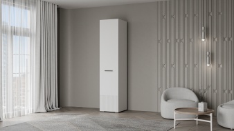 Шкаф распашной Декарт 1 BMS - новинка