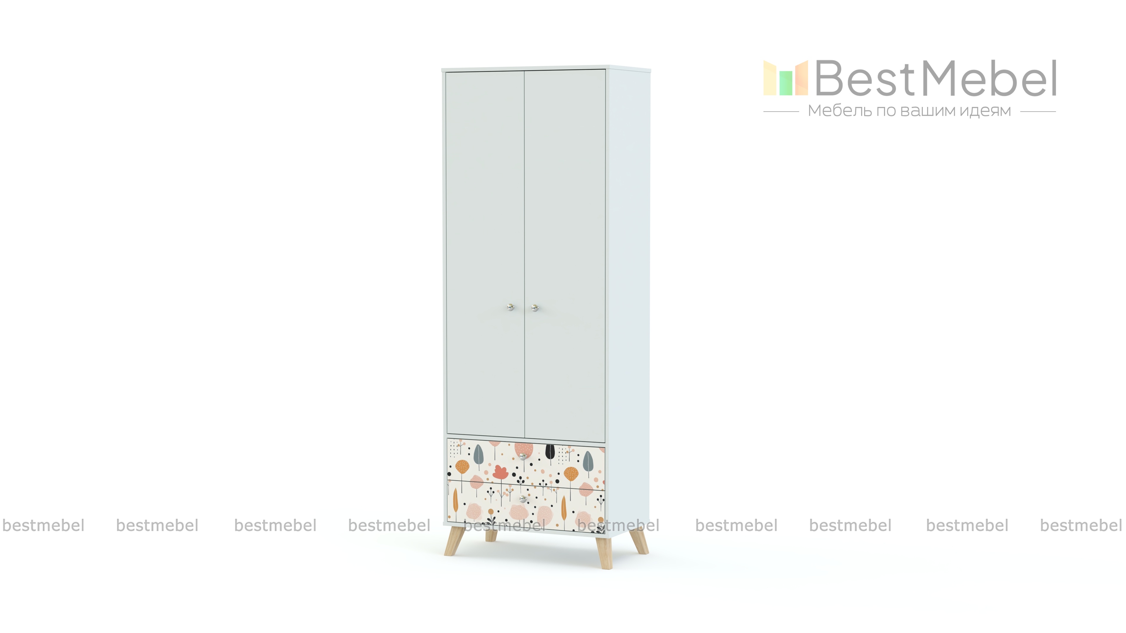 Шкаф распашной Эльза 1 BMS