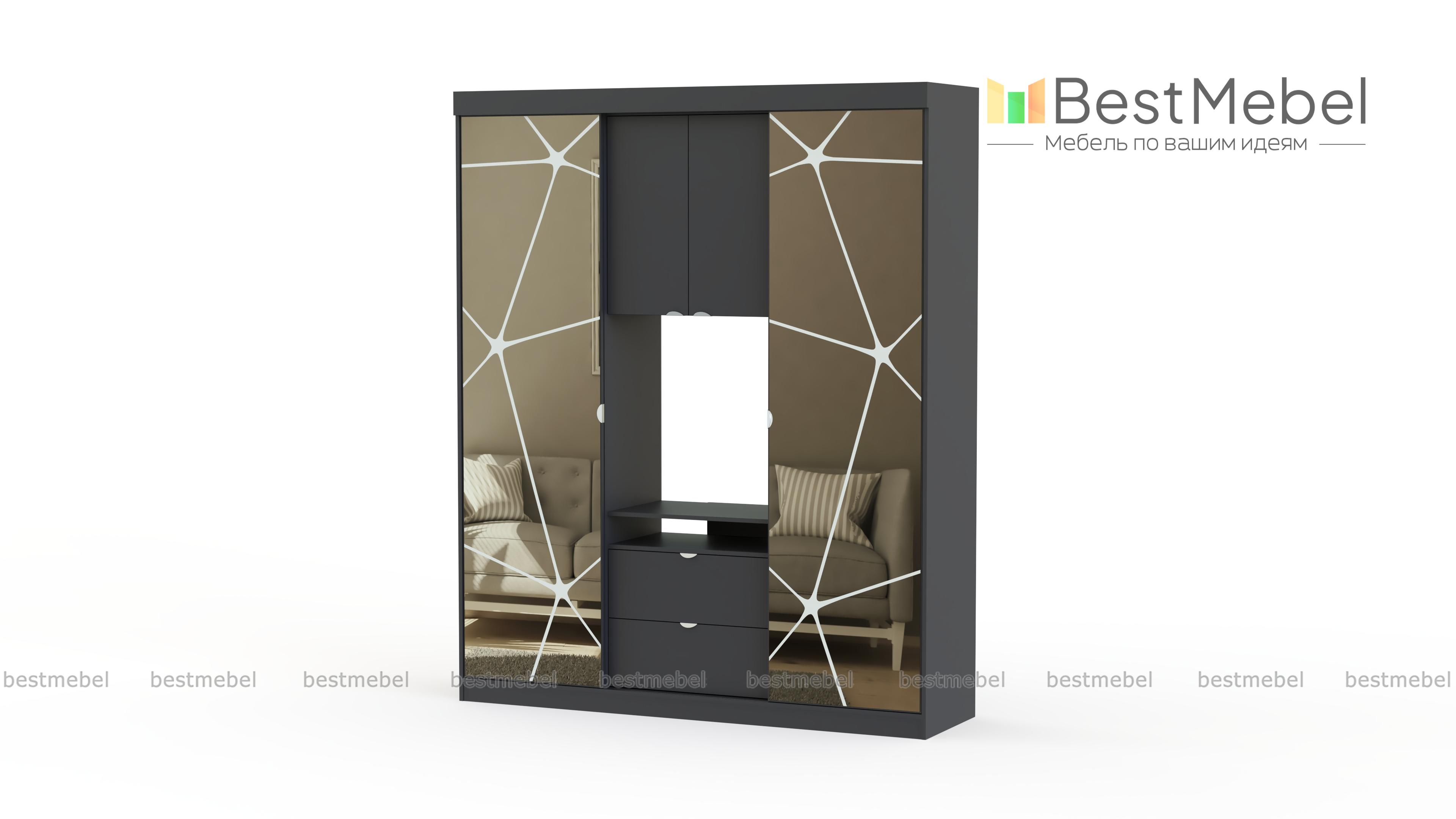 Шкаф-купе Карго BMS - Фото